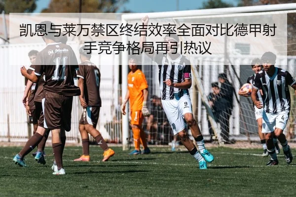 凯恩与莱万禁区终结效率全面对比德甲射手竞争格局再引热议 - kaiyun